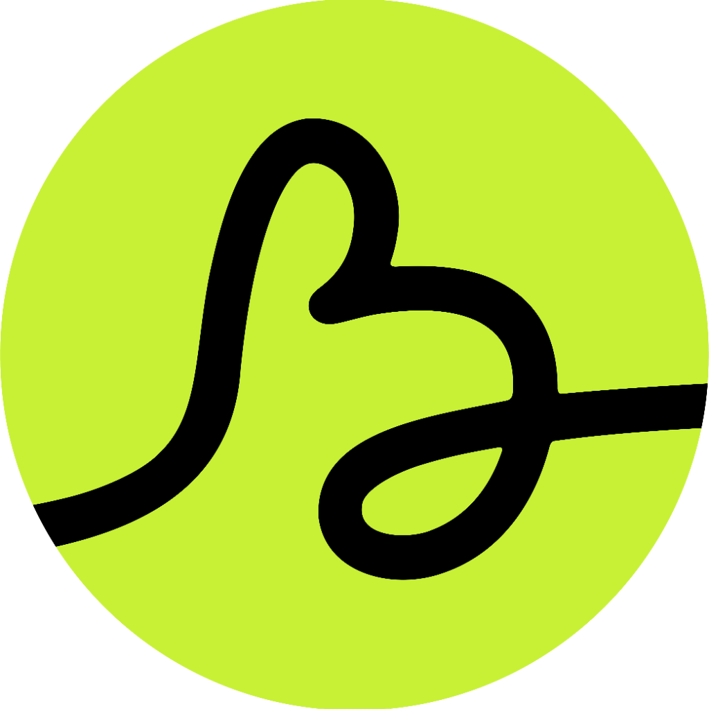 brndin logo